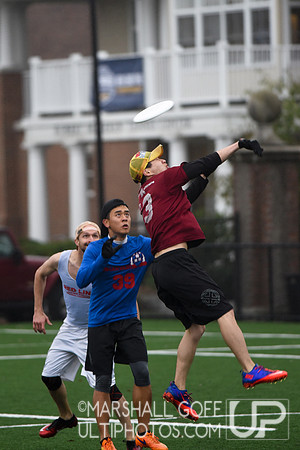 Harvard 40th Ultimate Reunion