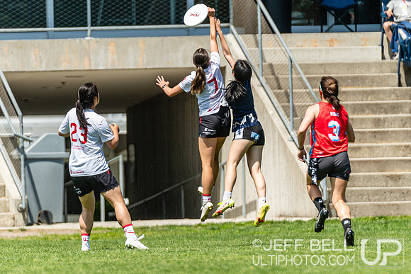 BC Ultimate - Disc Flicker 2024