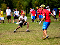 Loquitos vs Prague Devils - Quarters - Playoffs (33 to 48) - Open - WUCC 2014