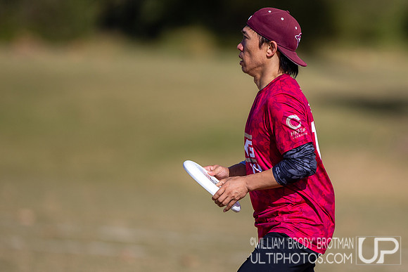 Day 6 of the WFDF 2024 World Masters Ultimate Championships