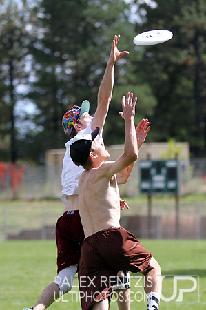 UltiFest 2014 held in Flagstaff, Arizona Oct 11-12