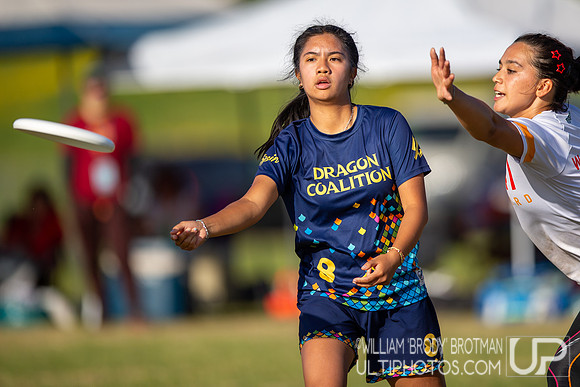Day 2 of the USA Ultimate D-I College Championships