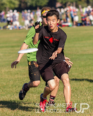 USAU Northeast Mixed Regionals -- Sunday