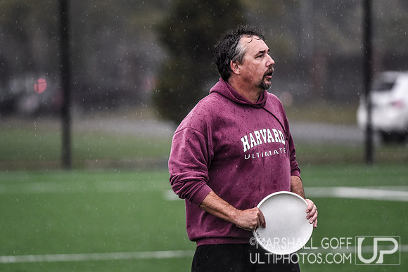 Harvard 40th Ultimate Reunion