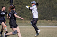 WFDF 2024 World Masters Ultimate Championships