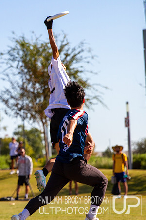Day 3 of the WFDF 2024 World Masters Ultimate Championships