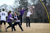 Winter Goaltimate League -- 2014