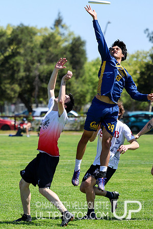 NorCal D1 Conference Championships