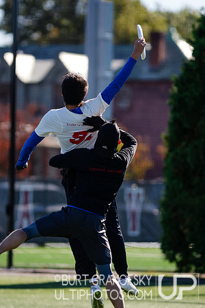 Bredline vs Alumni Game - Harvard Ultimate 40th Reunion