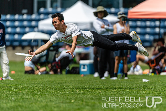 BC Ultimate - Disc Flicker 2024