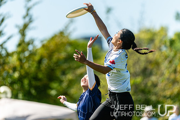 BC Ultimate - Disc Flicker 2024