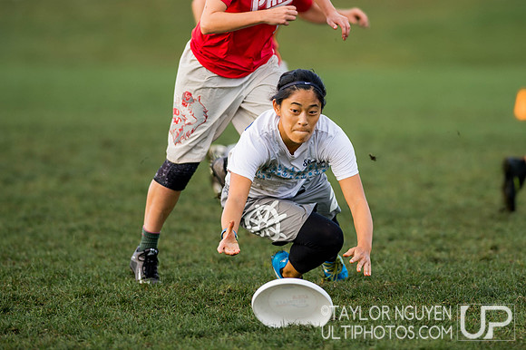 USA Ultimate Club National Championships