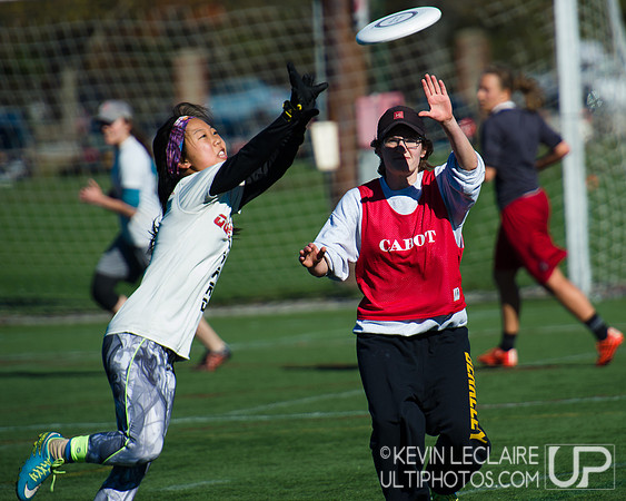 Harvard Ultimate Alumni v. current teams