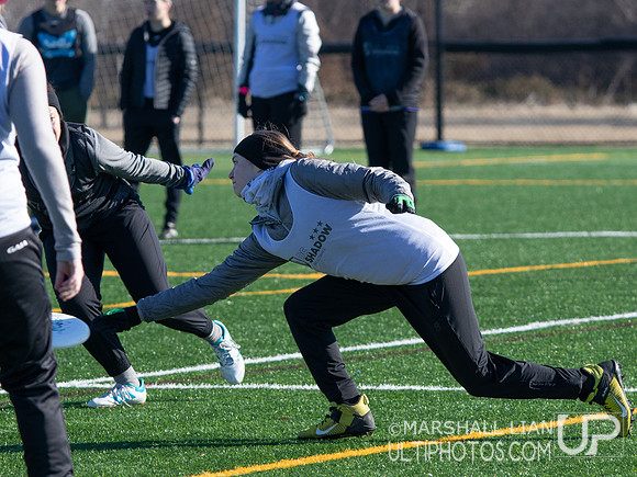 DC Shadow 2022 Tryout #3