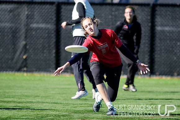 Quasar Alumnae Game - Harvard Ultimate 40th Reunion