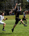 Highlights - Portland Stags vs San Francisco Dogfish - 6/7/14