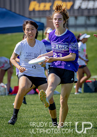 2024 USA Ultimate Division III College Championships ©