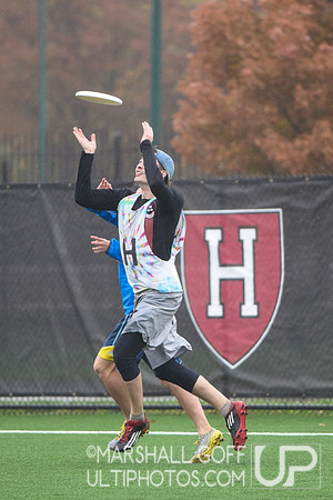 Harvard 40th Ultimate Reunion