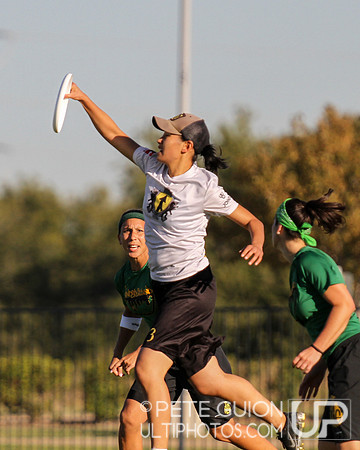 USAU Nationals 2014 Championships