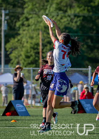 2024 USA Ultimate Division I College Championships ©