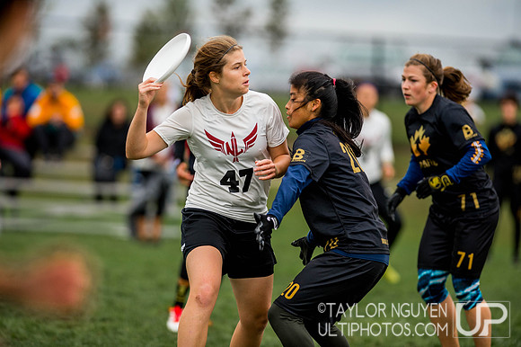 USA Ultimate Club National Championships