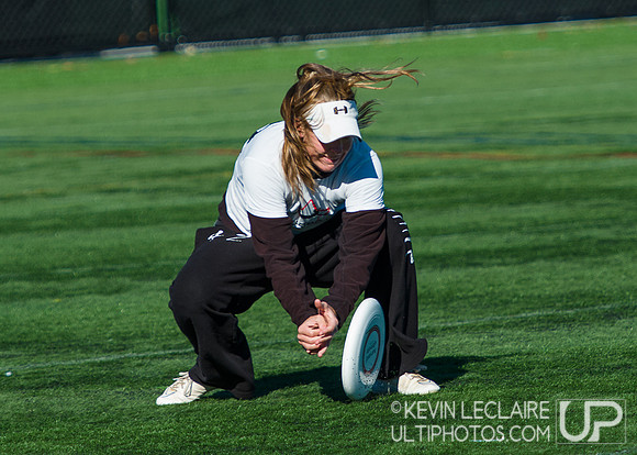 Harvard Ultimate Alumni v. current teams