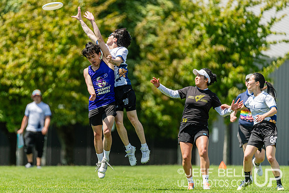 BC Ultimate - Disc Flicker 2024
