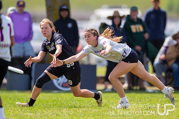 Day 3 of the USA Ultimate D-I College Championships