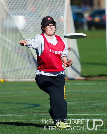 Harvard Ultimate Alumni v. current teams