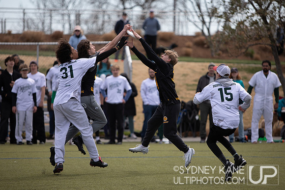 YULA 2025 Sunday Highlights