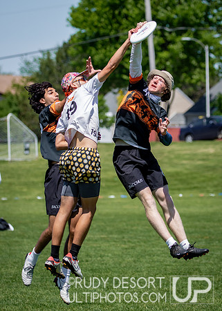2024 USA Ultimate Division III College Championships ©