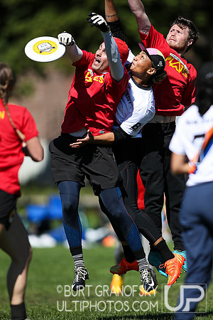 USA Ultimate NE Regionals 2022