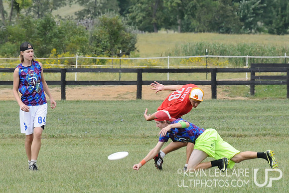 Sunday Mixed Division - Dumpsterfire v. Chesterfield Chaos - 2009 Capital Sectionals