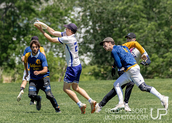 2024 USA Ultimate Division I College Championships ©