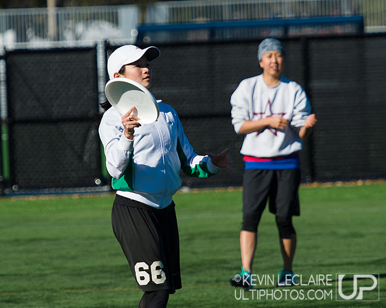 Harvard Ultimate Alumni v. current teams