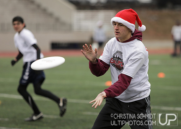 12 Days of Christmas Junior - 2016