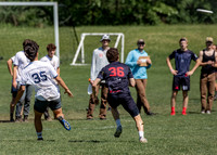 2024 USA Ultimate Division I College Championships ©