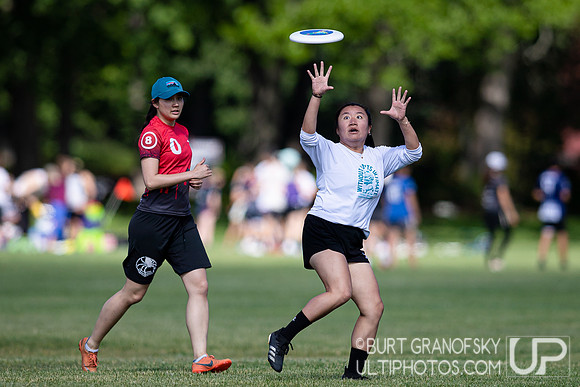 Saturday Action -- Mixed Easterns 2022
