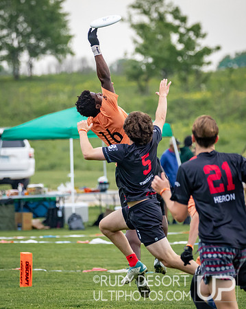 2024 USA Ultimate Division I College Championships ©