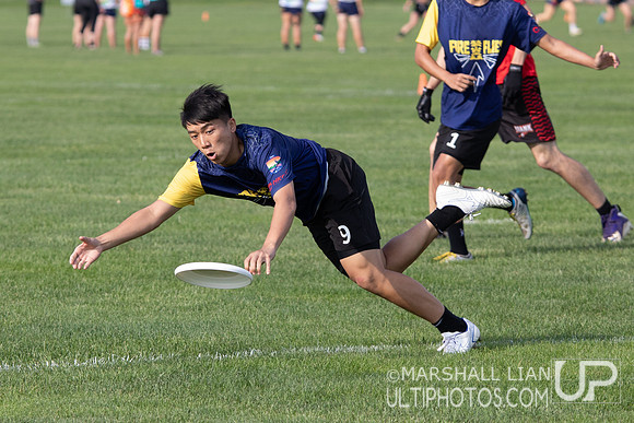 Fireflies vs Wollongong Krank