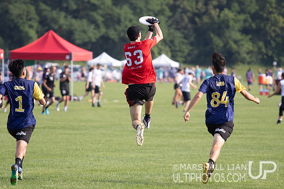Fireflies vs Wollongong Krank