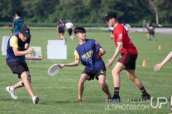 Fireflies vs Wollongong Krank