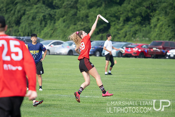 Fireflies vs Wollongong Krank