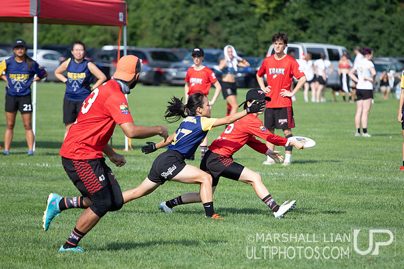 Fireflies vs Wollongong Krank