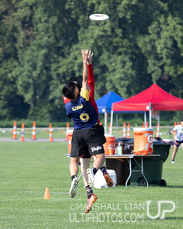 Fireflies vs Wollongong Krank