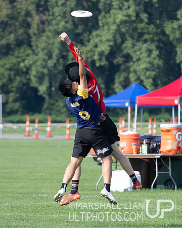 Fireflies vs Wollongong Krank