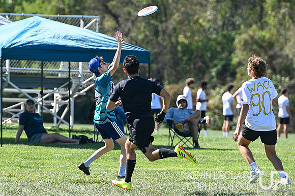 Fairfax Fog vs WaCC Open - Fall Fling 2025 Sunday