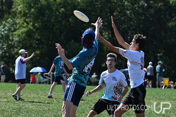 Fog v Lake Braddock