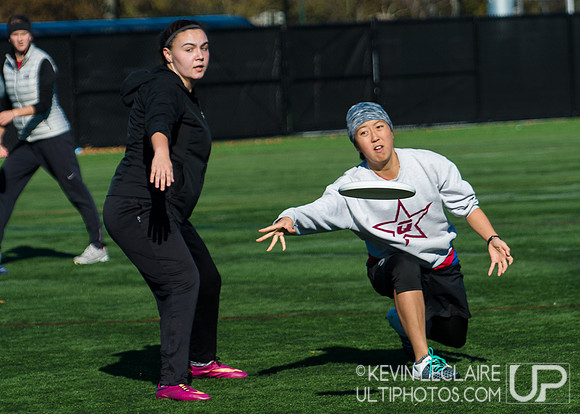 Harvard Ultimate Alumni v. current teams