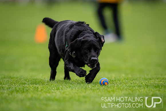 Pool play round I at DiscNW Spring Reign